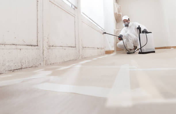 24/7 Emergency Mold Remediation experts in Morton Grove, IL